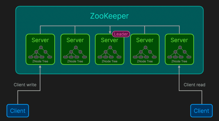 ZooKeeper reads and writes