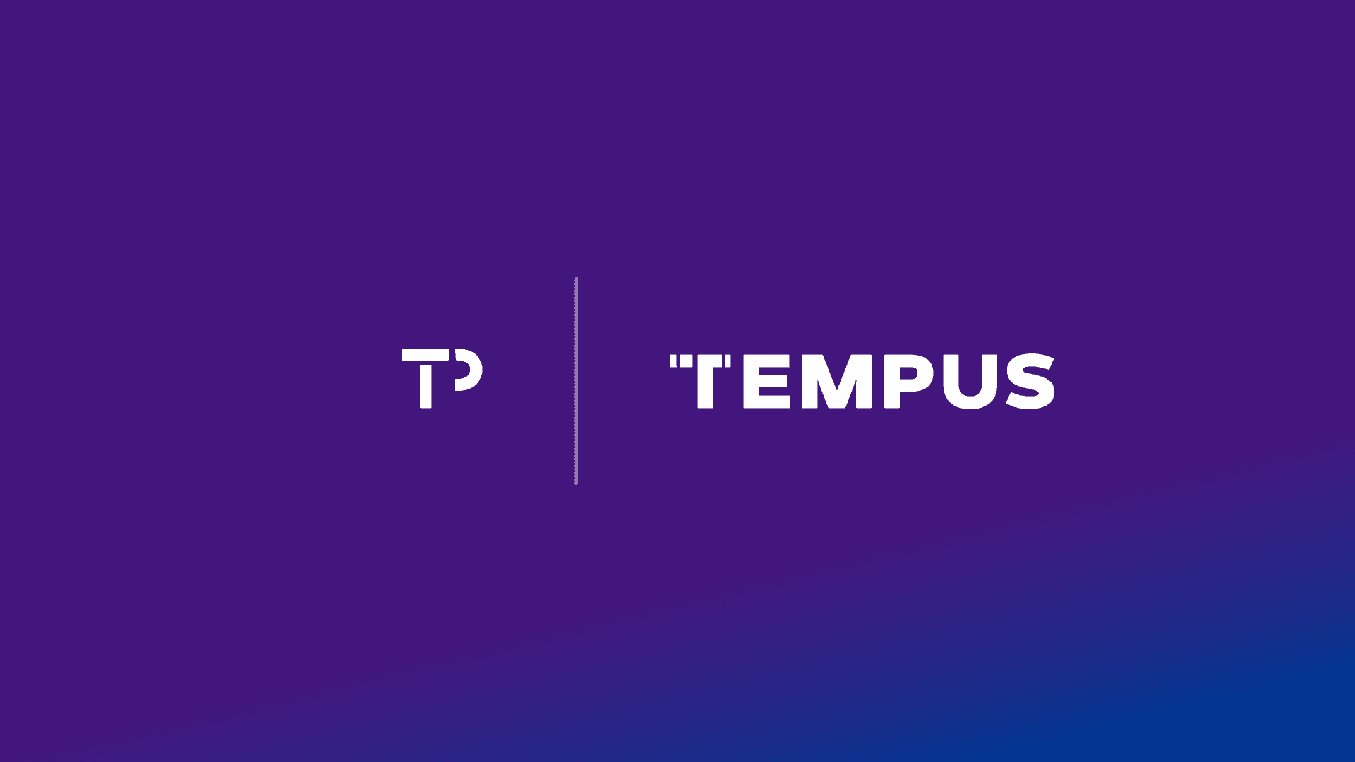 Tempus Interview Process